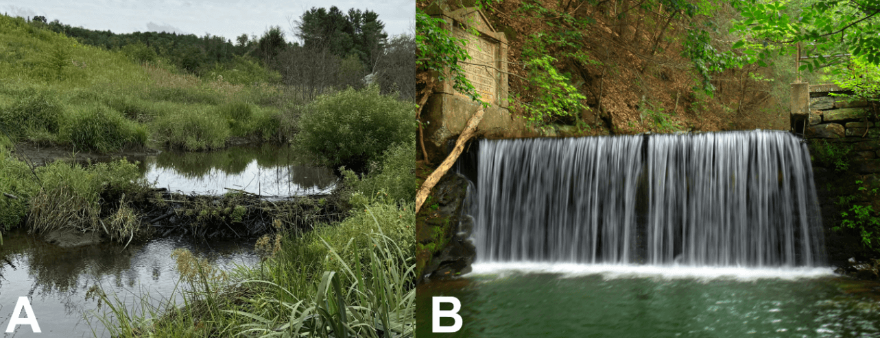 Nature based vs grey