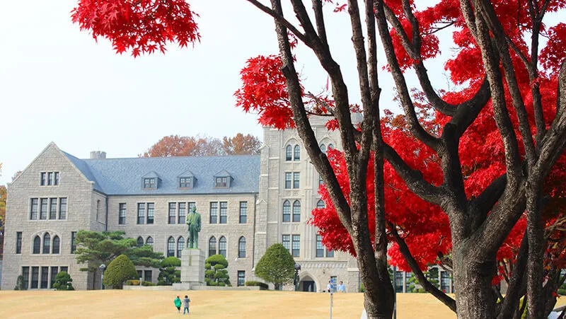 Korea University