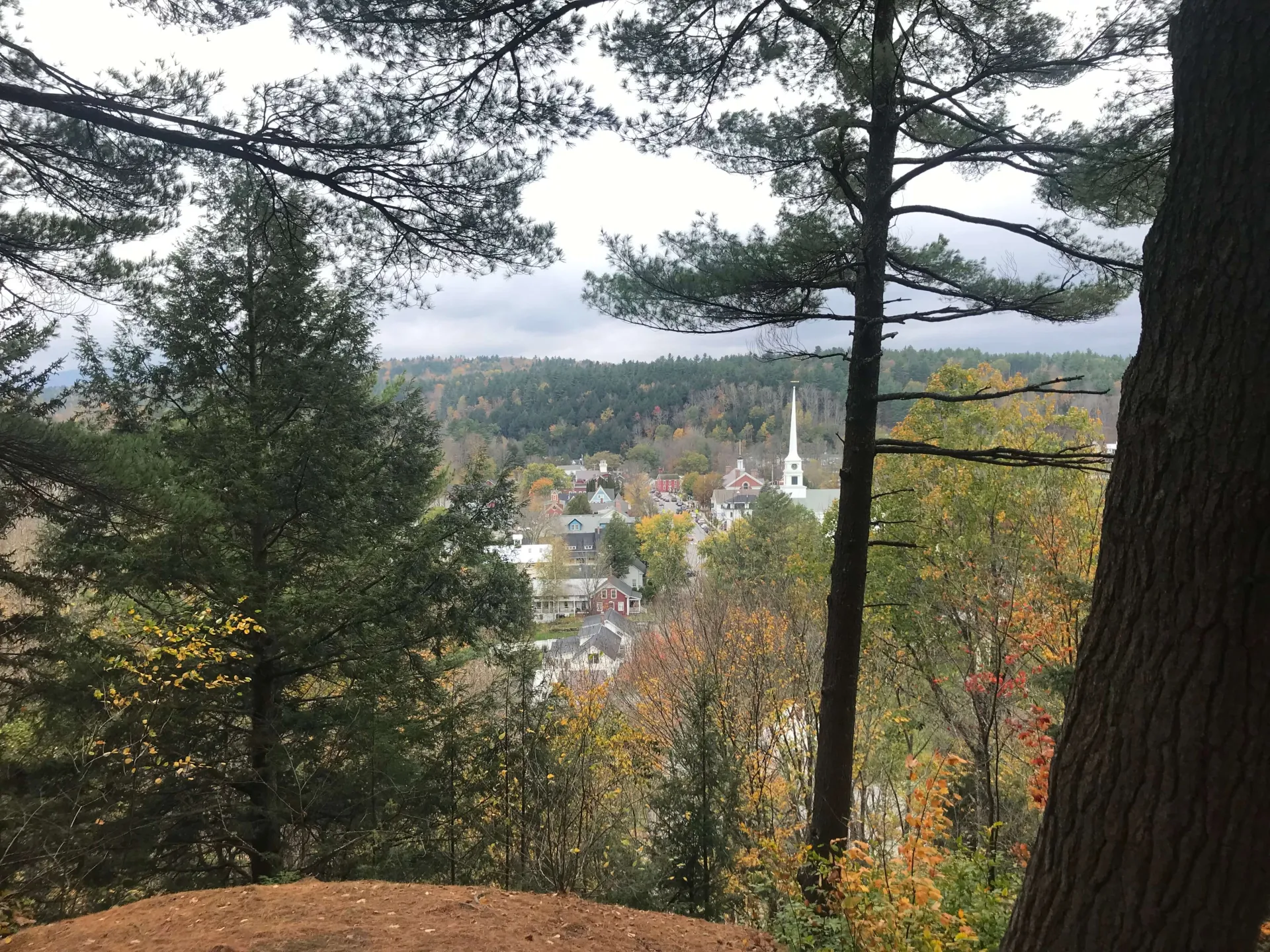 A forest frames downtown Stowe. A church steeple is visable. 