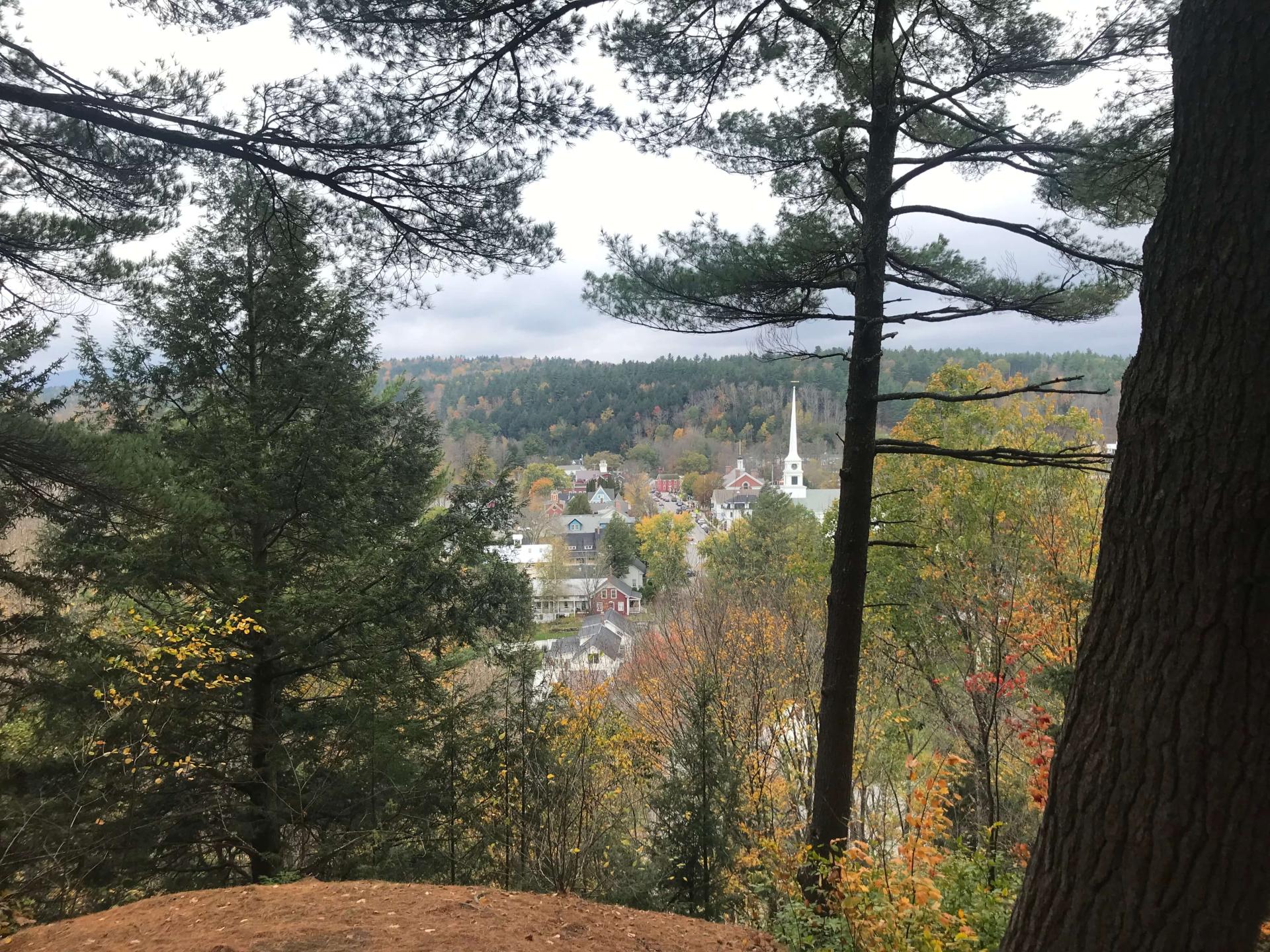 A forest frames downtown Stowe. A church steeple is visable.