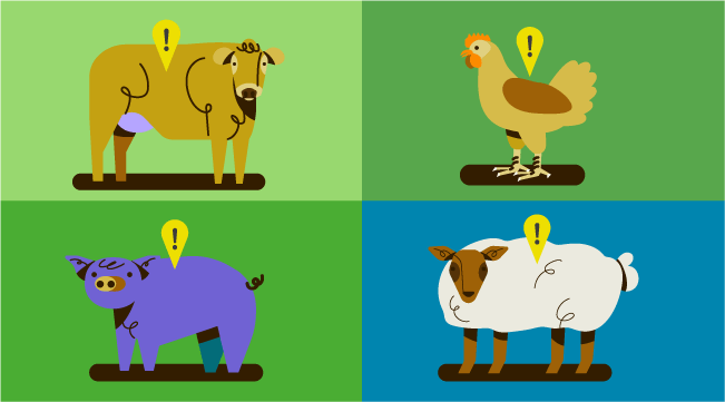 A colorful graphic of four farm animals, a brown cow, a brown chicken, a purple pig, and a white sheep.