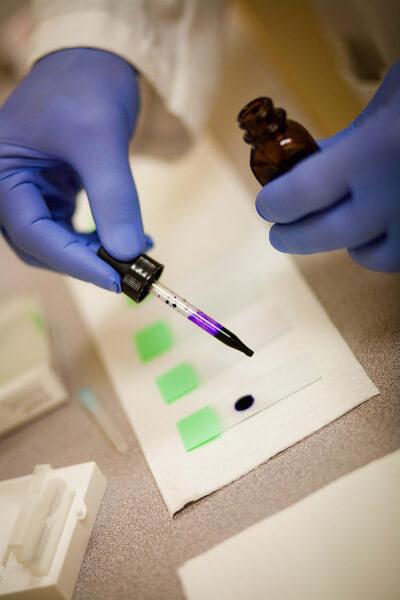 Blue gloved hands using a dropper to place drops of a dark purple liquid onto a glass slide