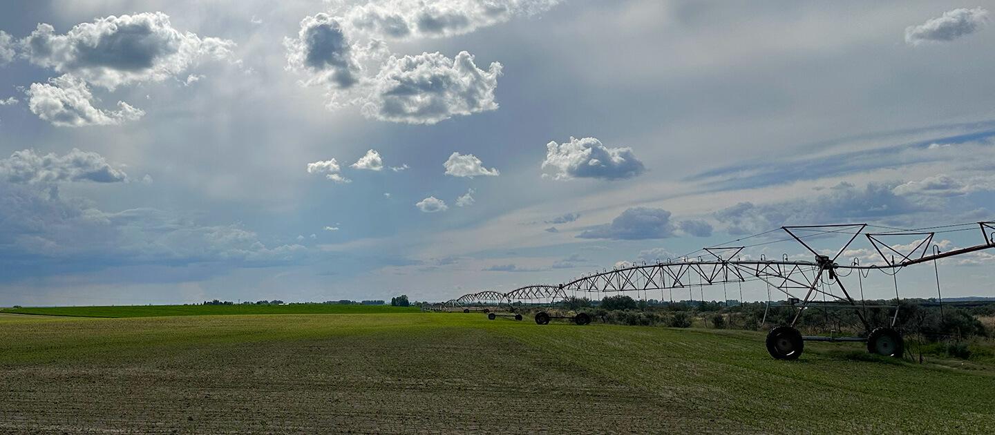 Groundbreaking Global Study Reveals Tradeoffs Between Irrigation Expansion and Child Nutrition in Water-Stressed Global South Communities Groundbreaking Global Study Reveals Tradeoffs Between Irrigation Expansion and Child Nutrition in Water-Stressed Global South Communities