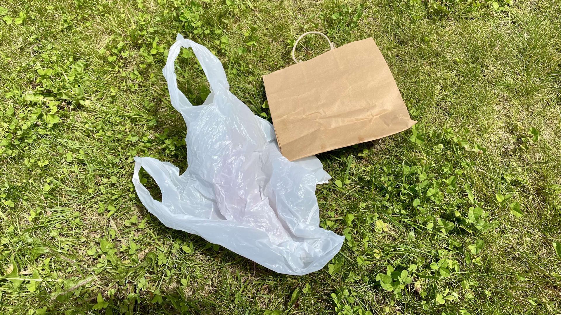 a plastic and a paper bag lie in the grass