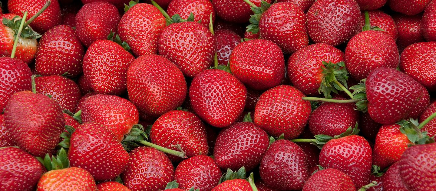 a lot of strawberries