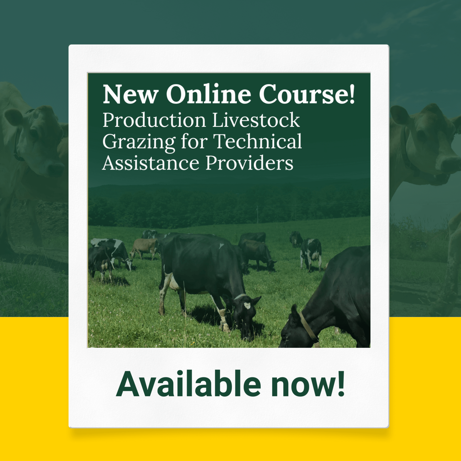 Flyer for online course