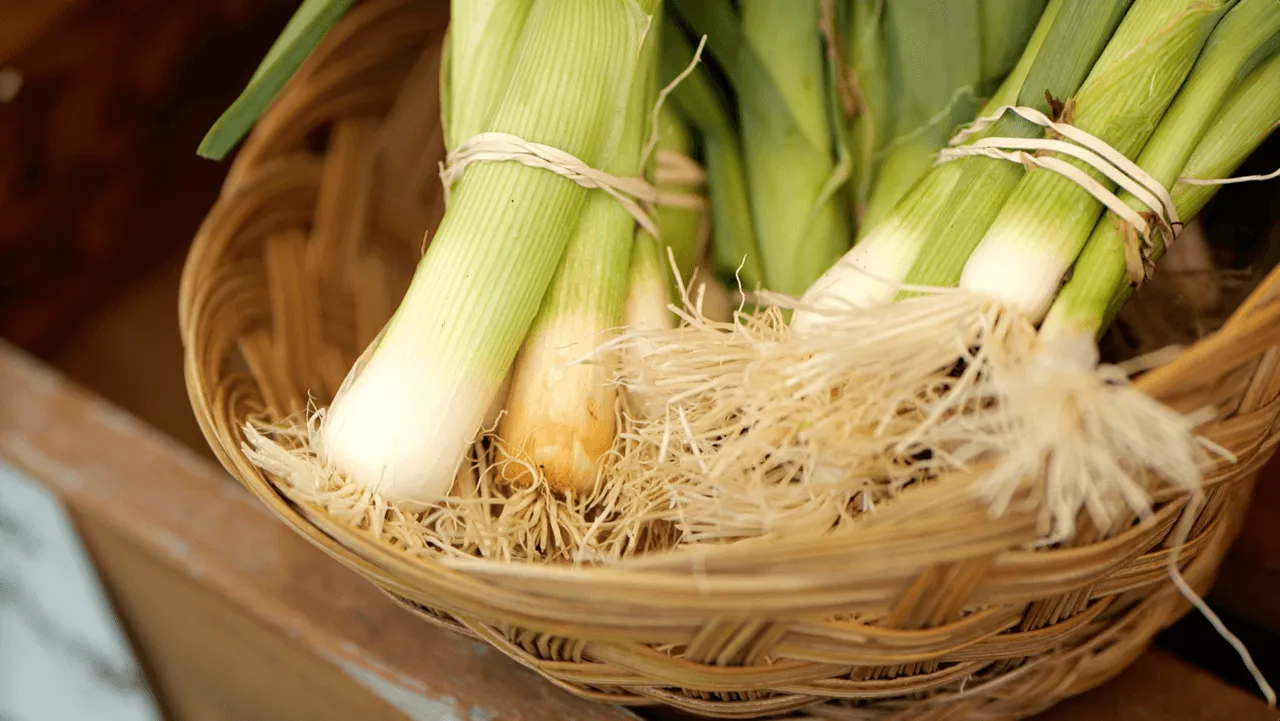 Scallions for sale at the farmer's market