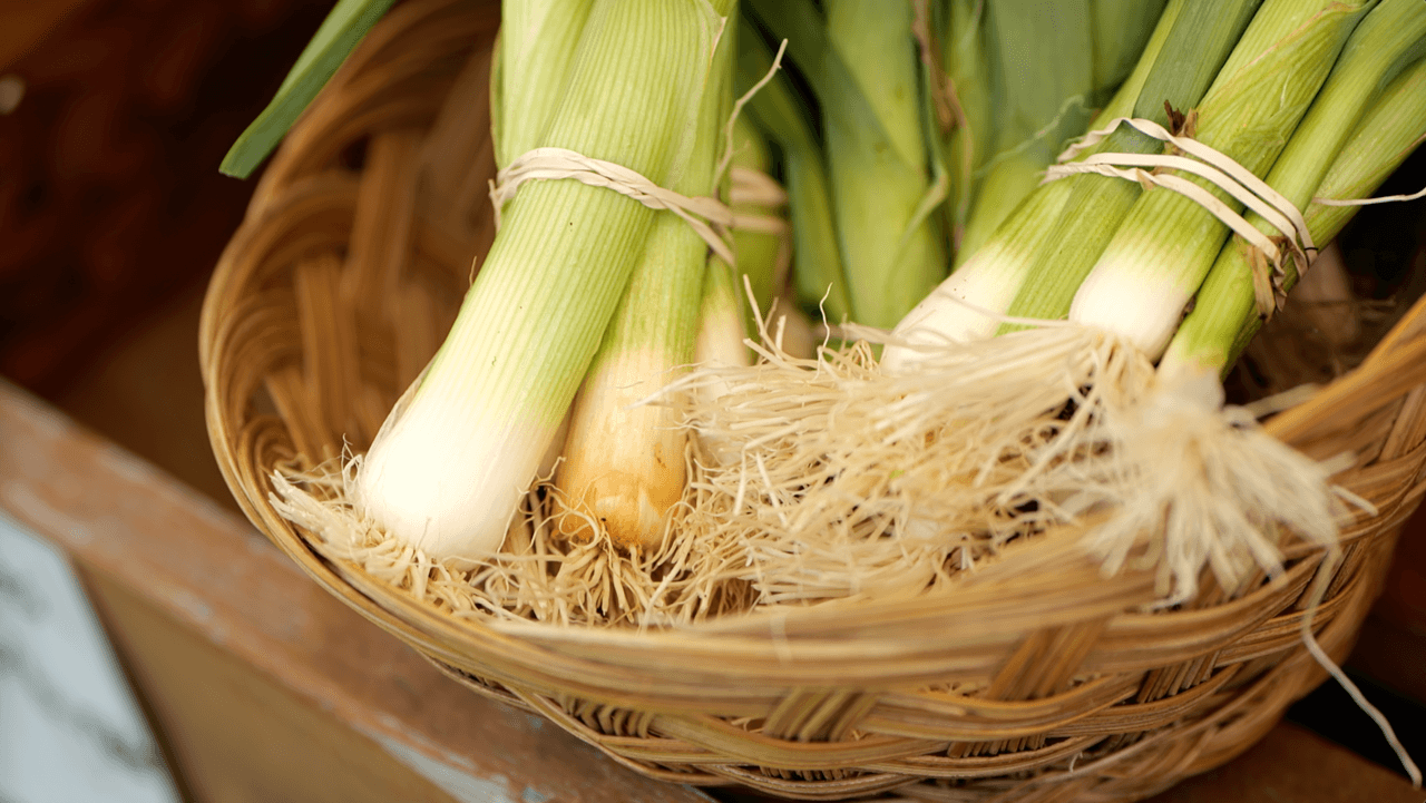 Scallions for sale at the farmer's market
