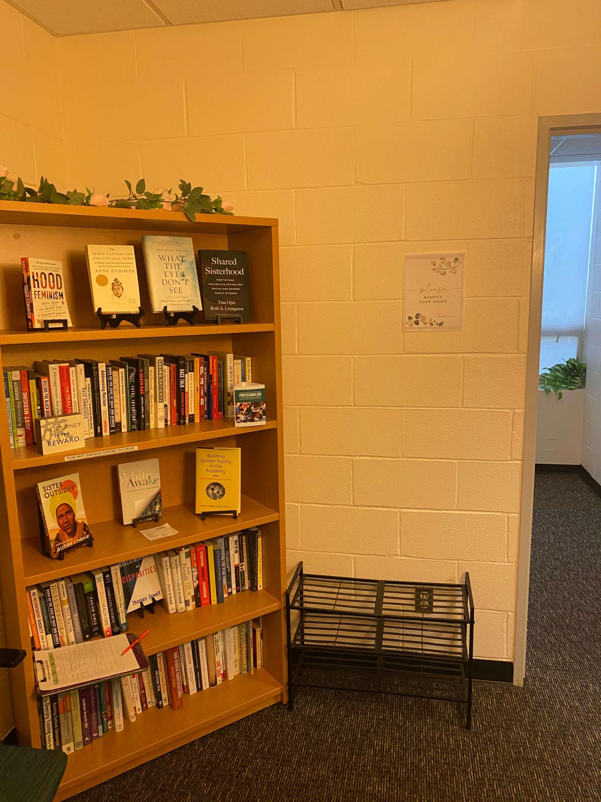 IMage of lending library with bookcase