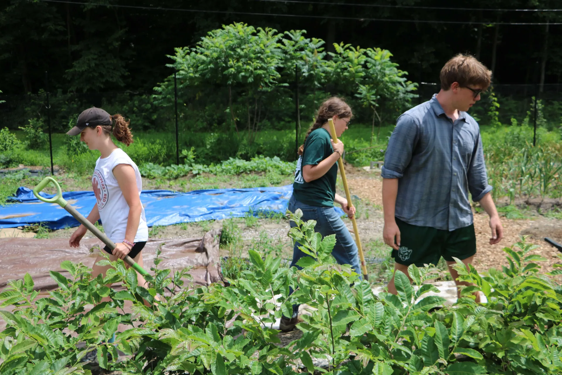 Interns Work a community Garden in Sharon VT