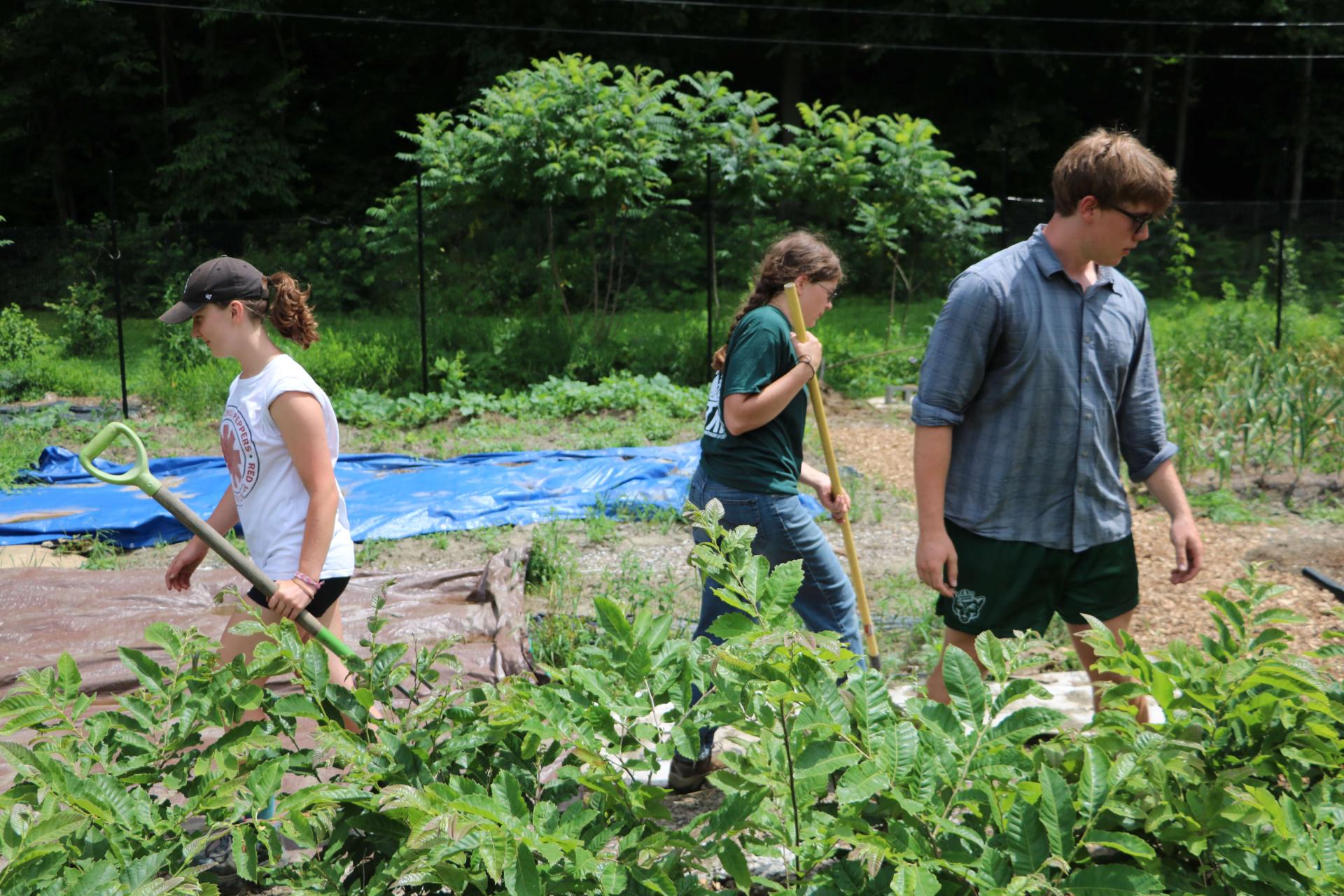 Interns Work a community Garden in Sharon VT