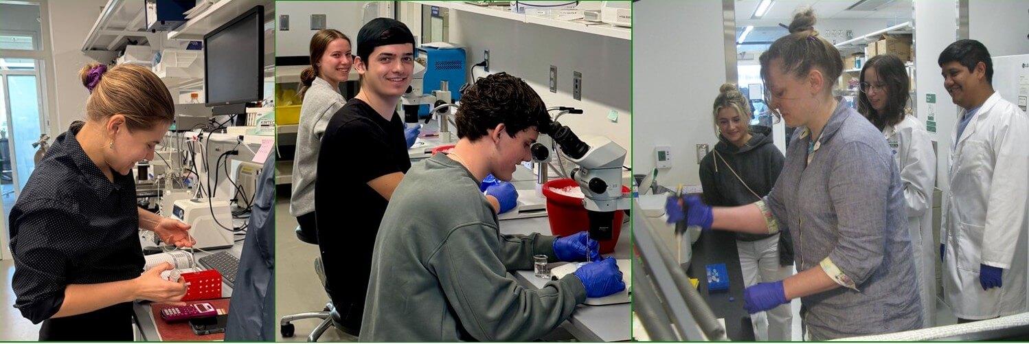 Students in the labs