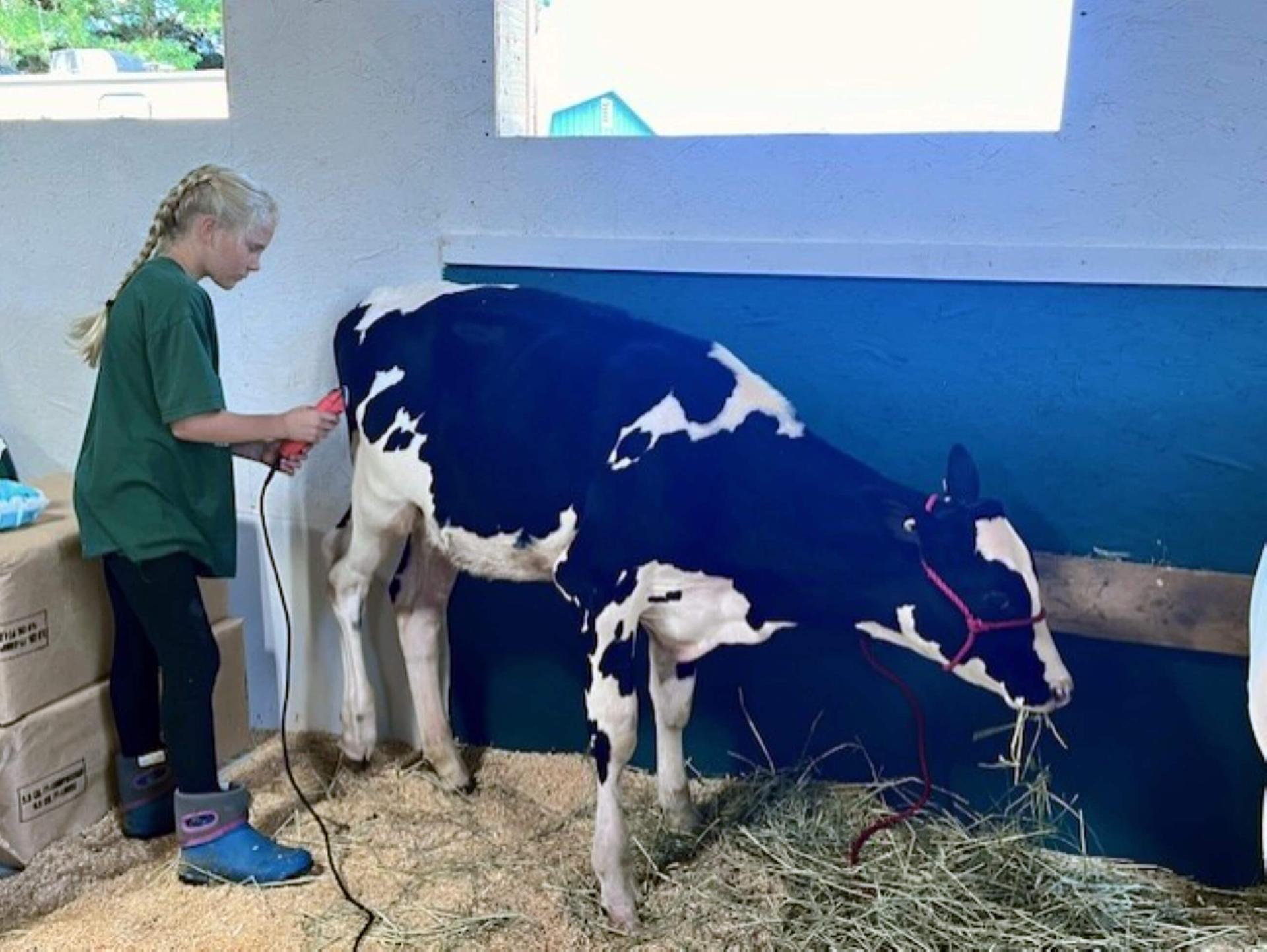 youngster with cow
