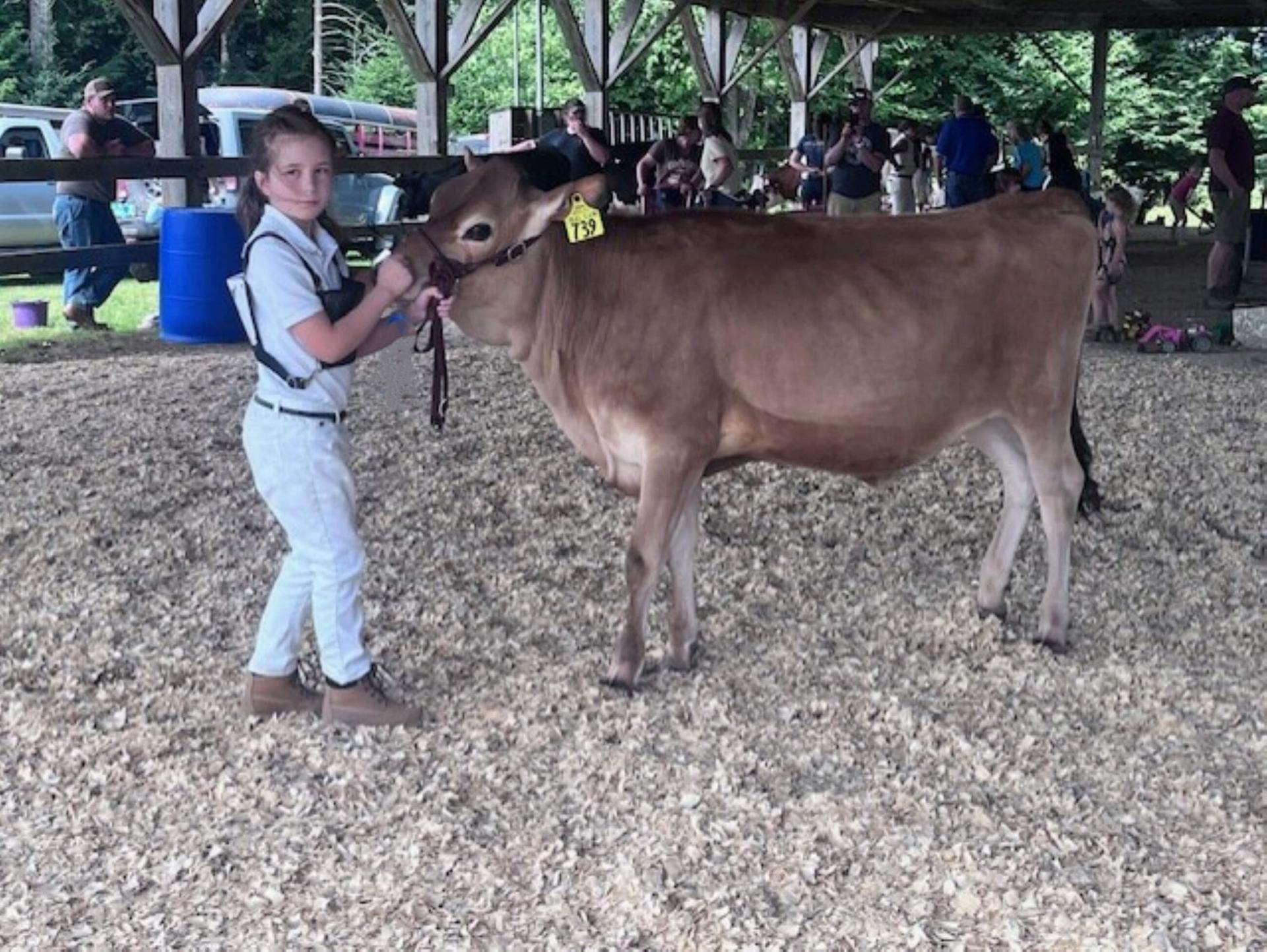 youngster with a cow