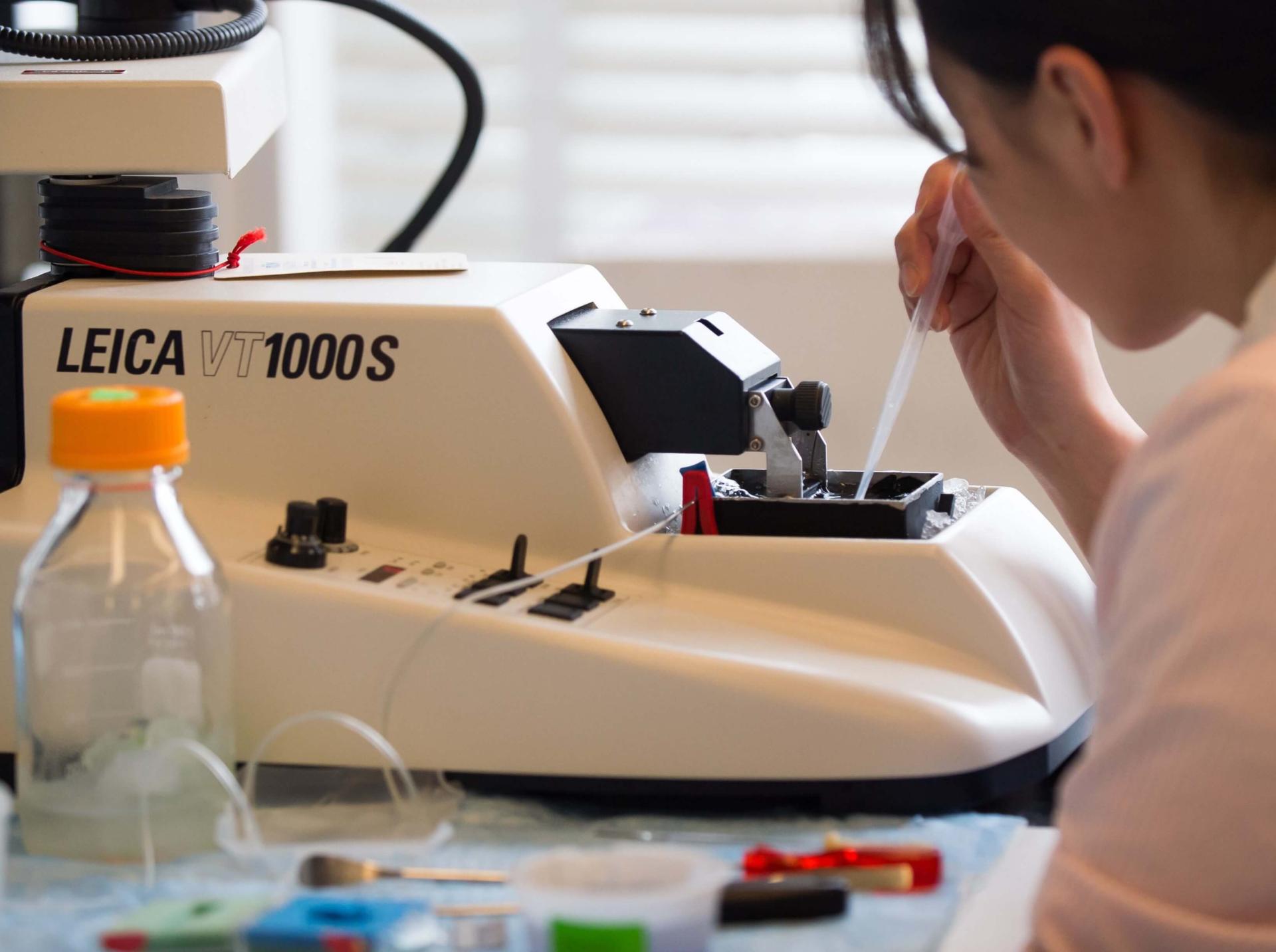 Researcher preparing to view a sample under a digital microscope in lab.