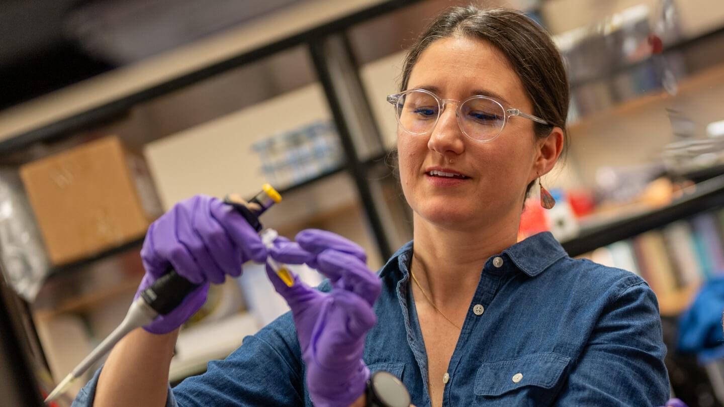 Professor Melissa Pespeni in lab