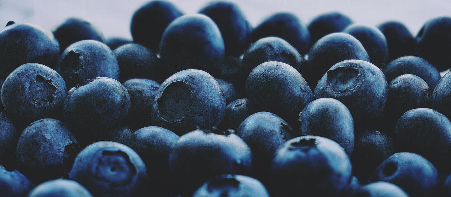 closeup of a bunch of picked blueberries