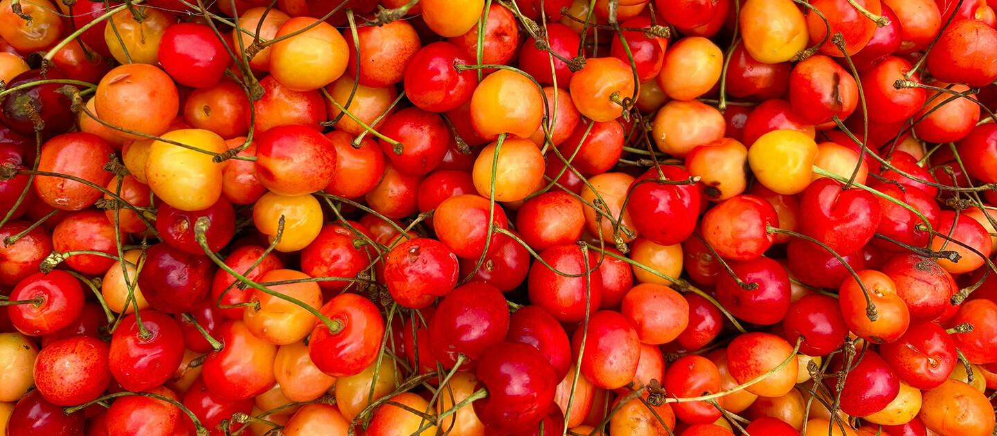 a lot of cherries