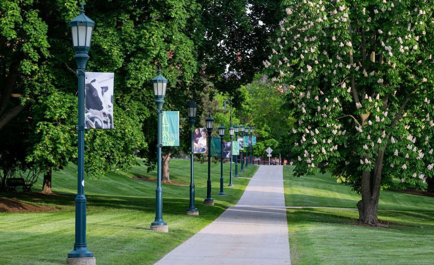 walking path on campus green featuring banners on light posts