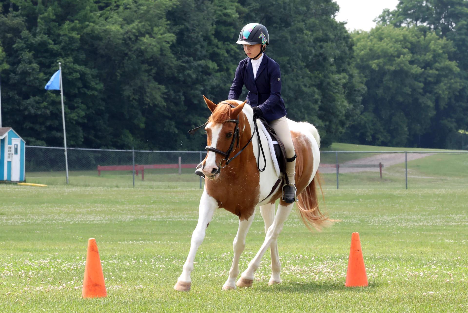 girl on a horse maneuvering around cones