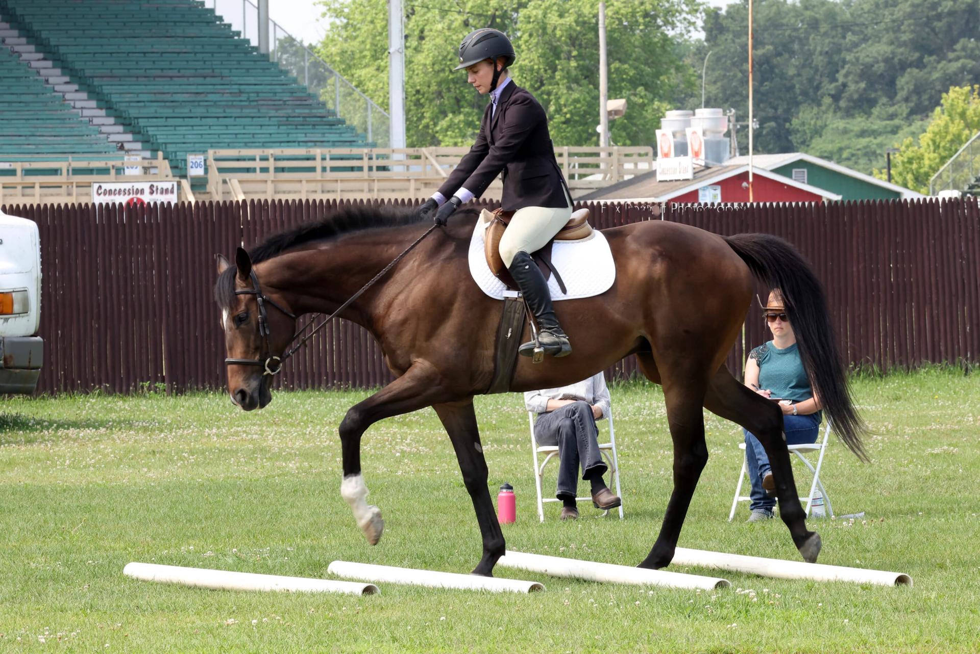 girl on a horse stepping over horizontal poles