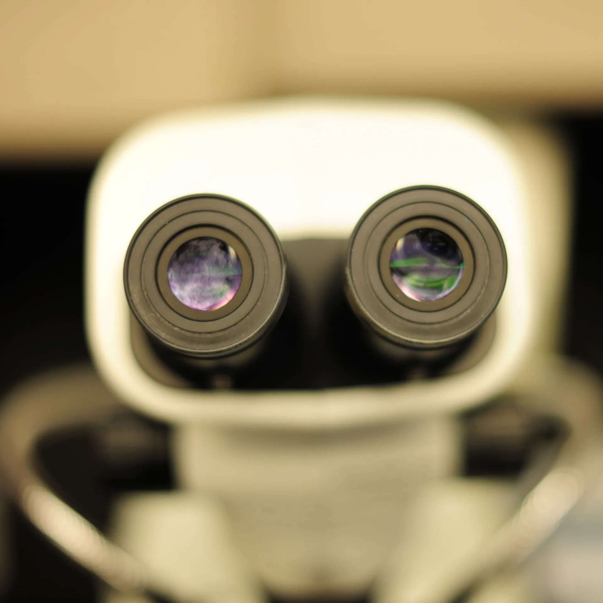 closeup of microscope eyepieces