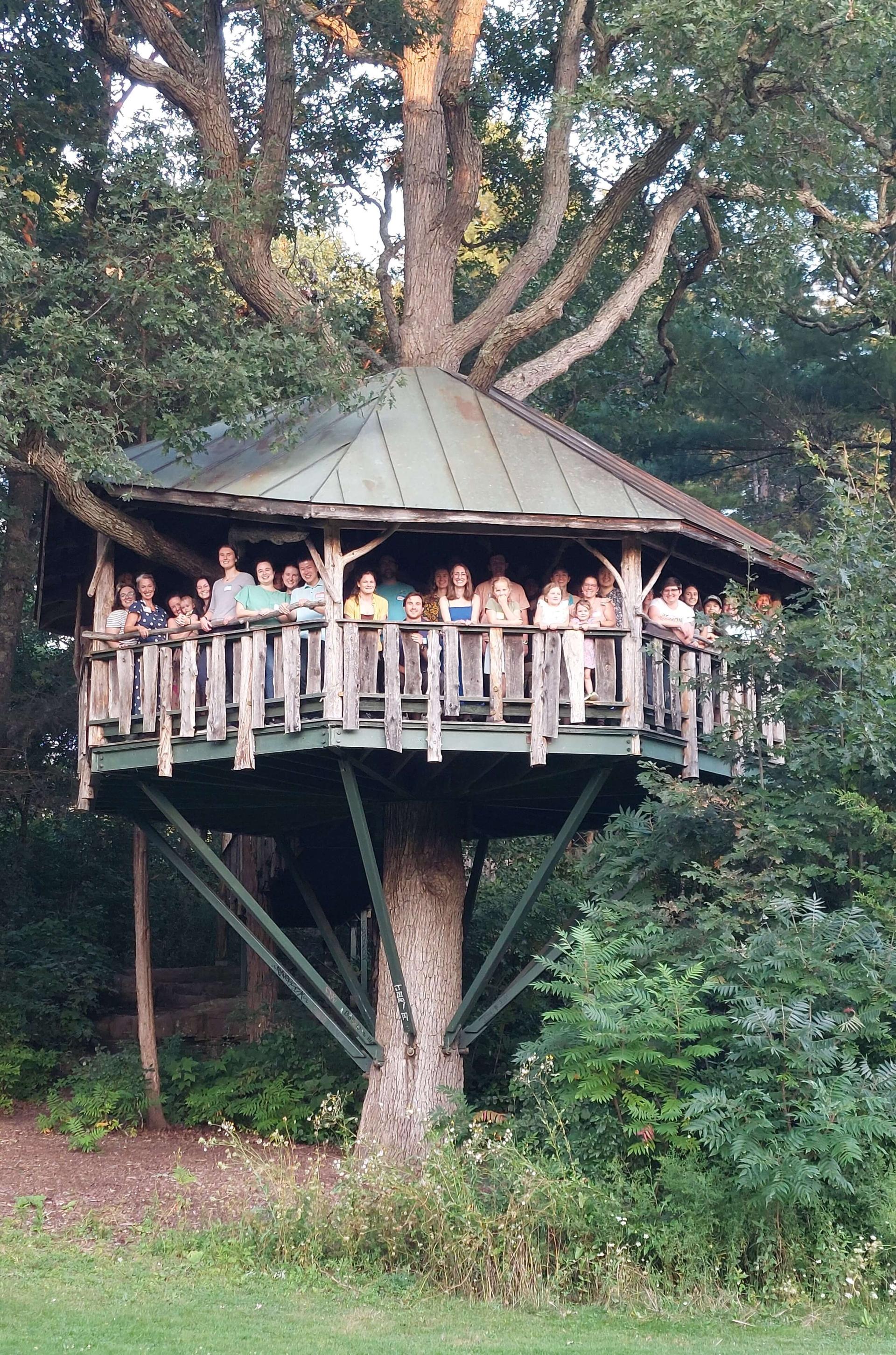 treehouse photo