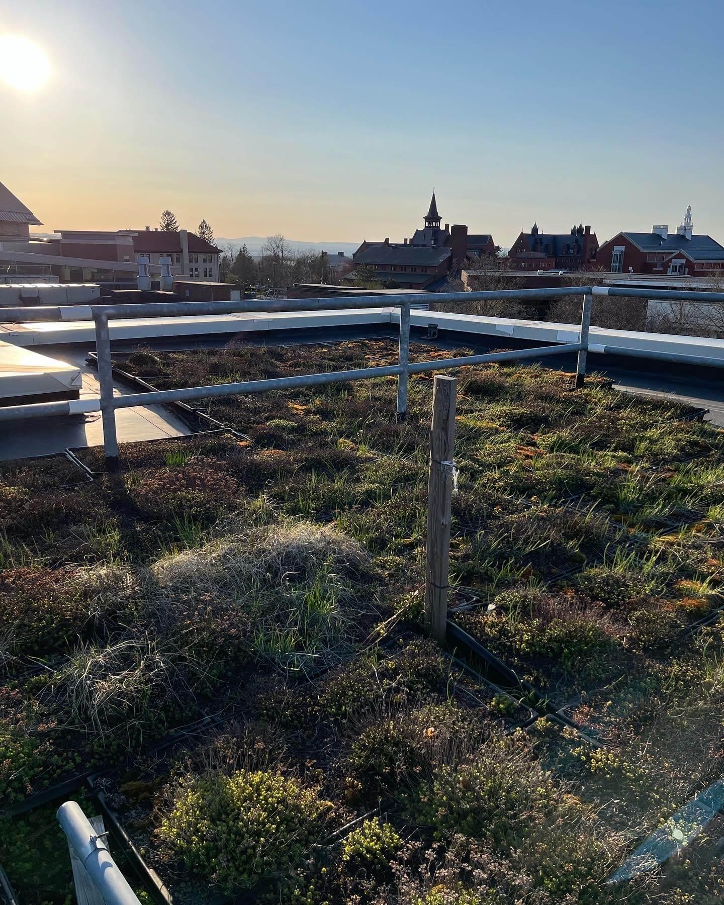 The green roof of the Aiken Center.