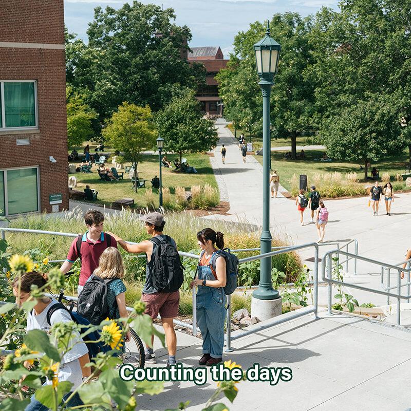 Students wearing backpacks greet each other on a sidewalk while walking to and from campus. 