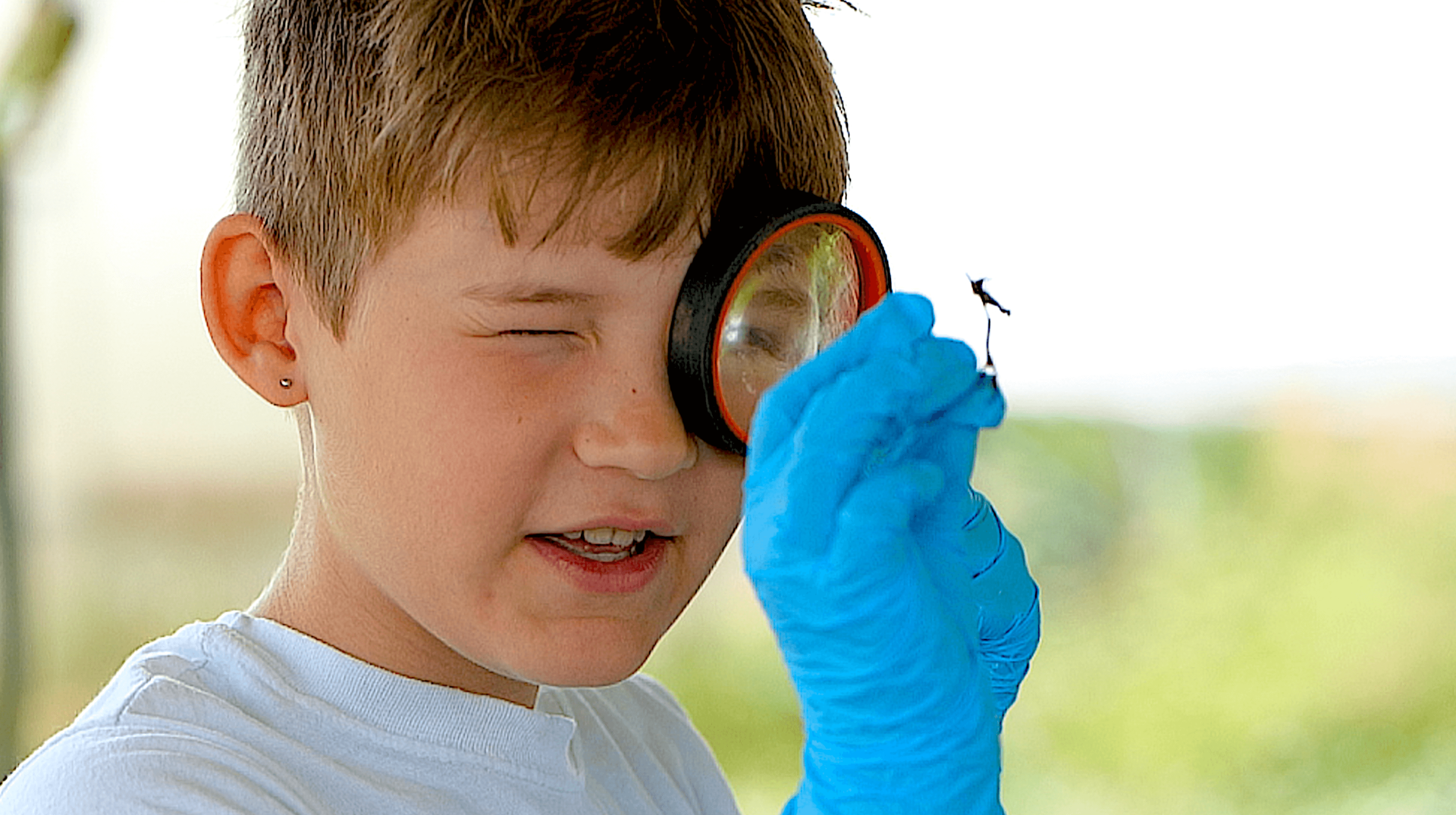 CU of child with magnifying glass looking at a specimen