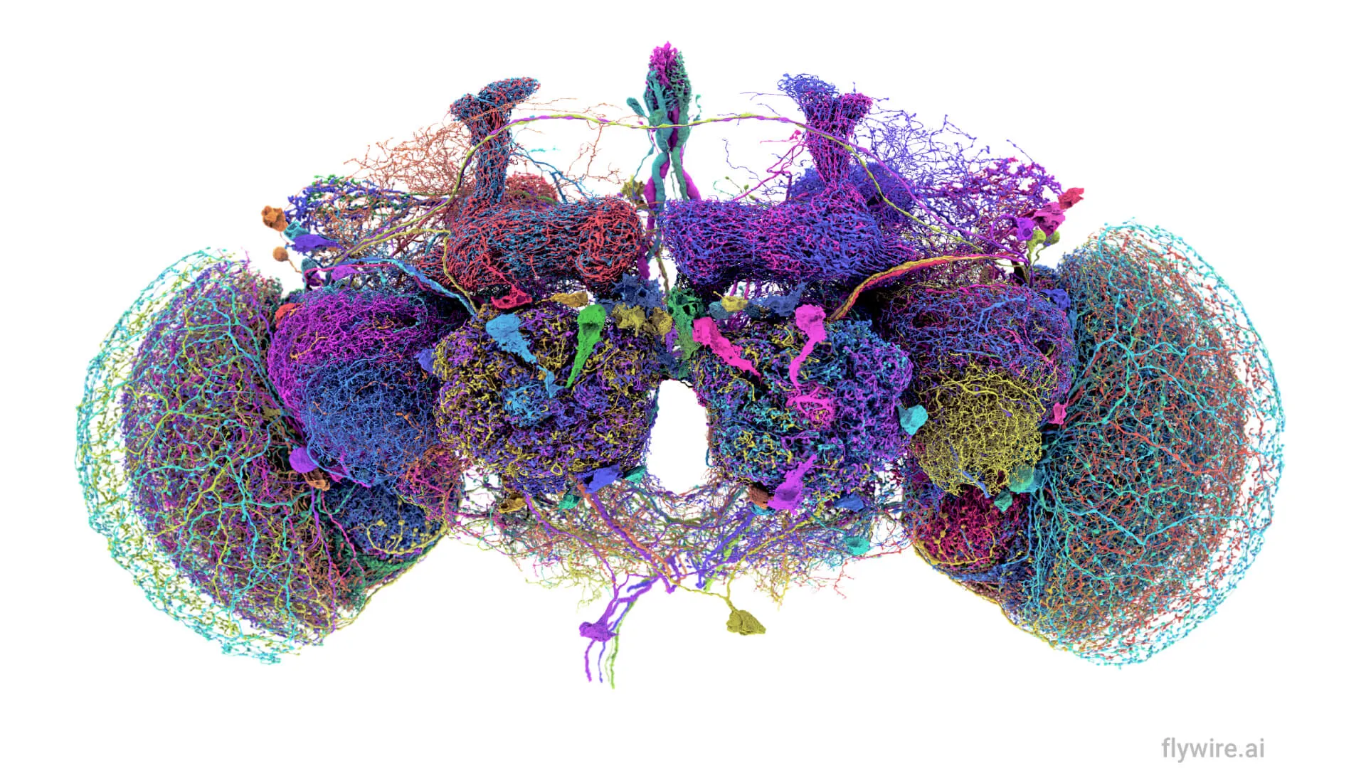3D rendered colorful network-like structure