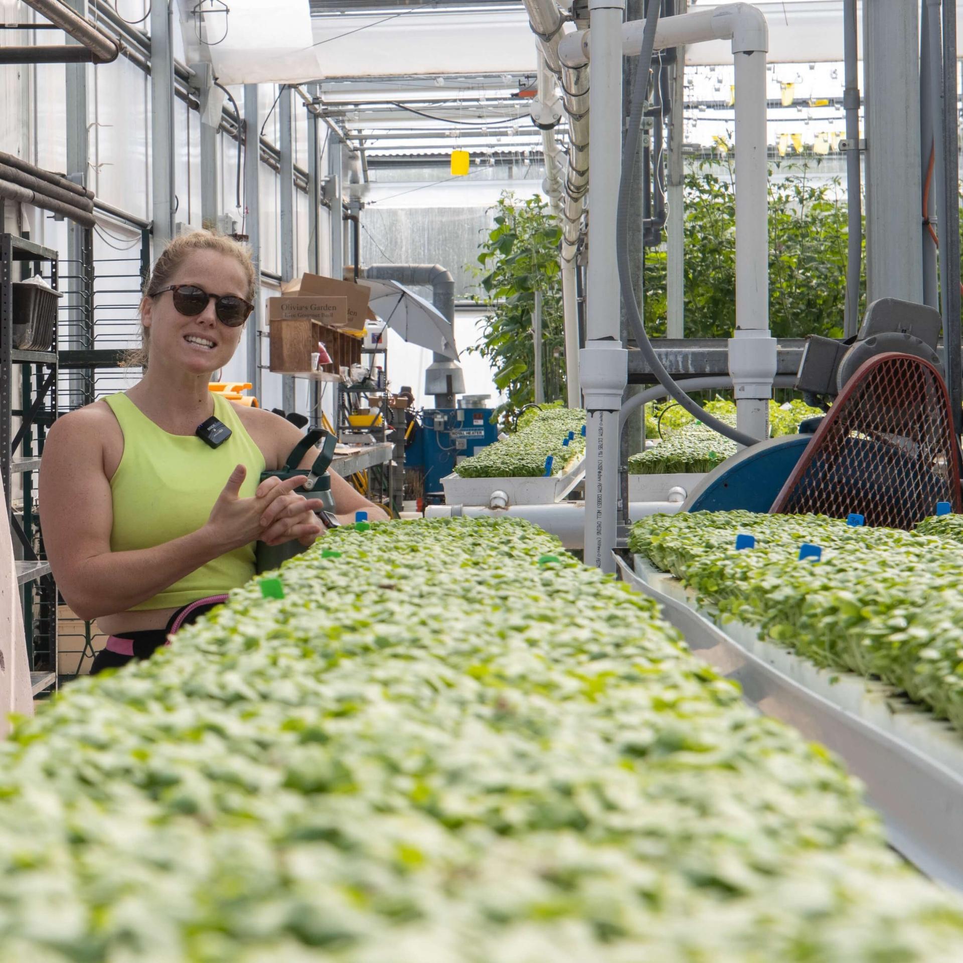 Person speaking in a greenhouse, standing next to basil seedlings in floating rafts.