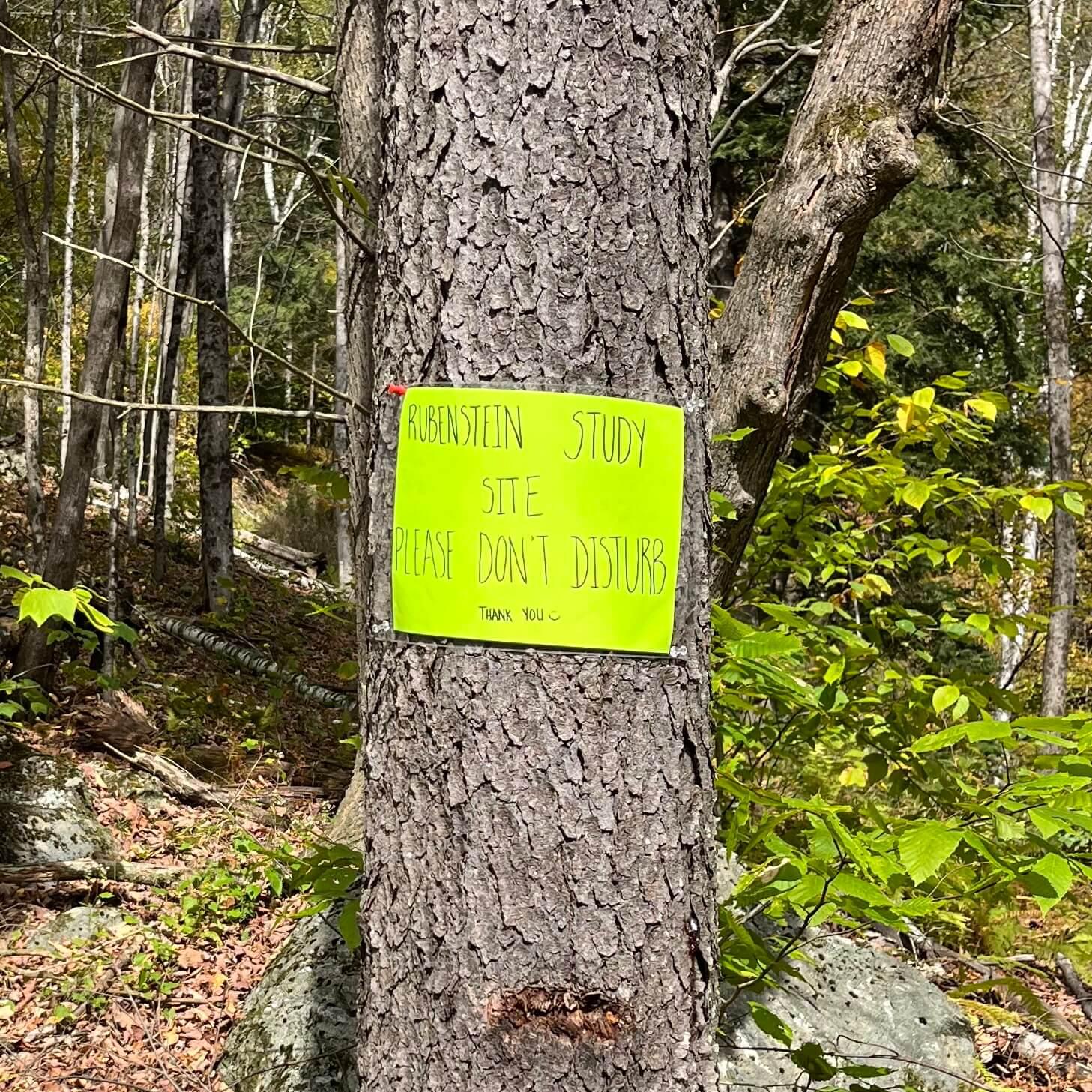 A sign on a tree that reads "Rubenstein Study Site: Please Don't Disturb. Thank You"