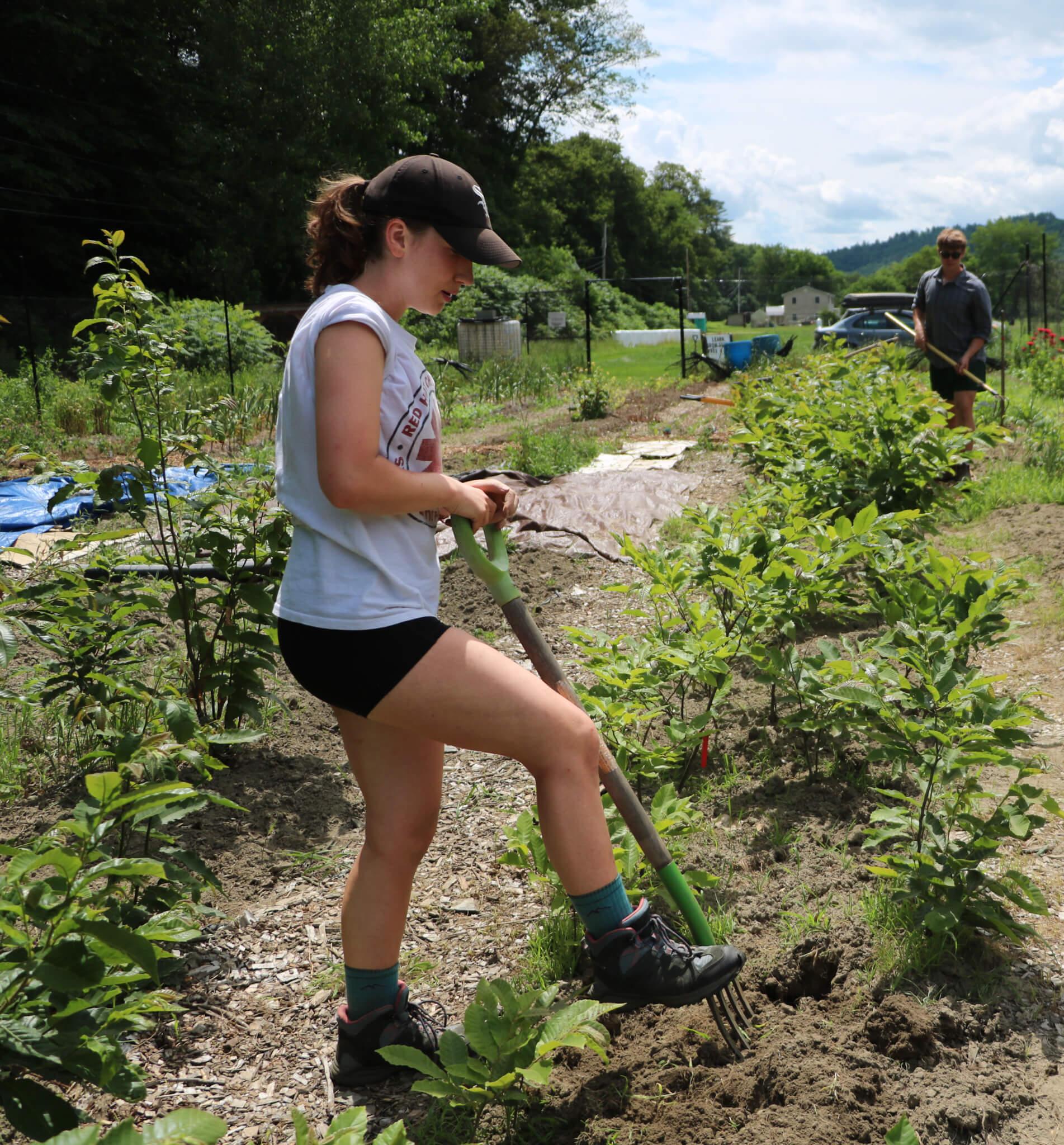 Kate Cesario '27 working the community garden in Bethel, VT