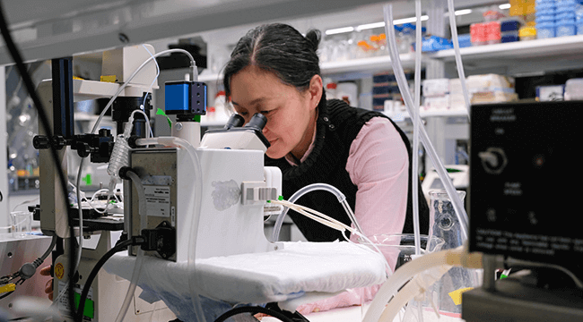 Masayo Koide, Ph.D.