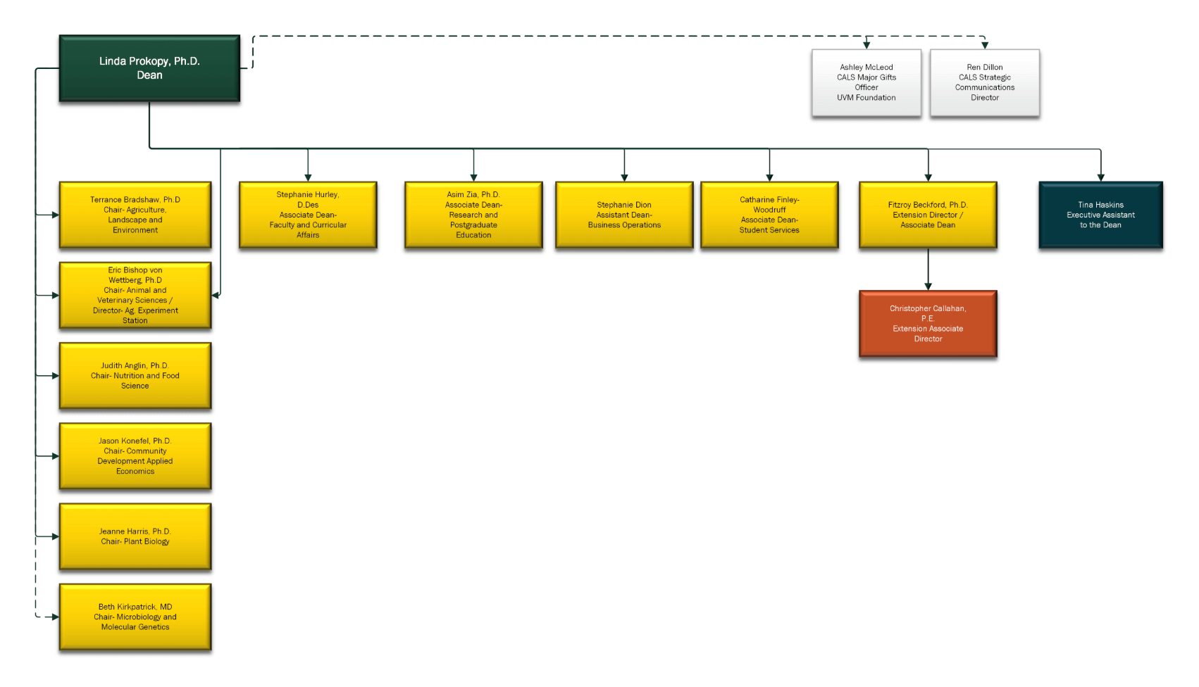 Visual of the CALS Organizational Chart - Accessible Link below