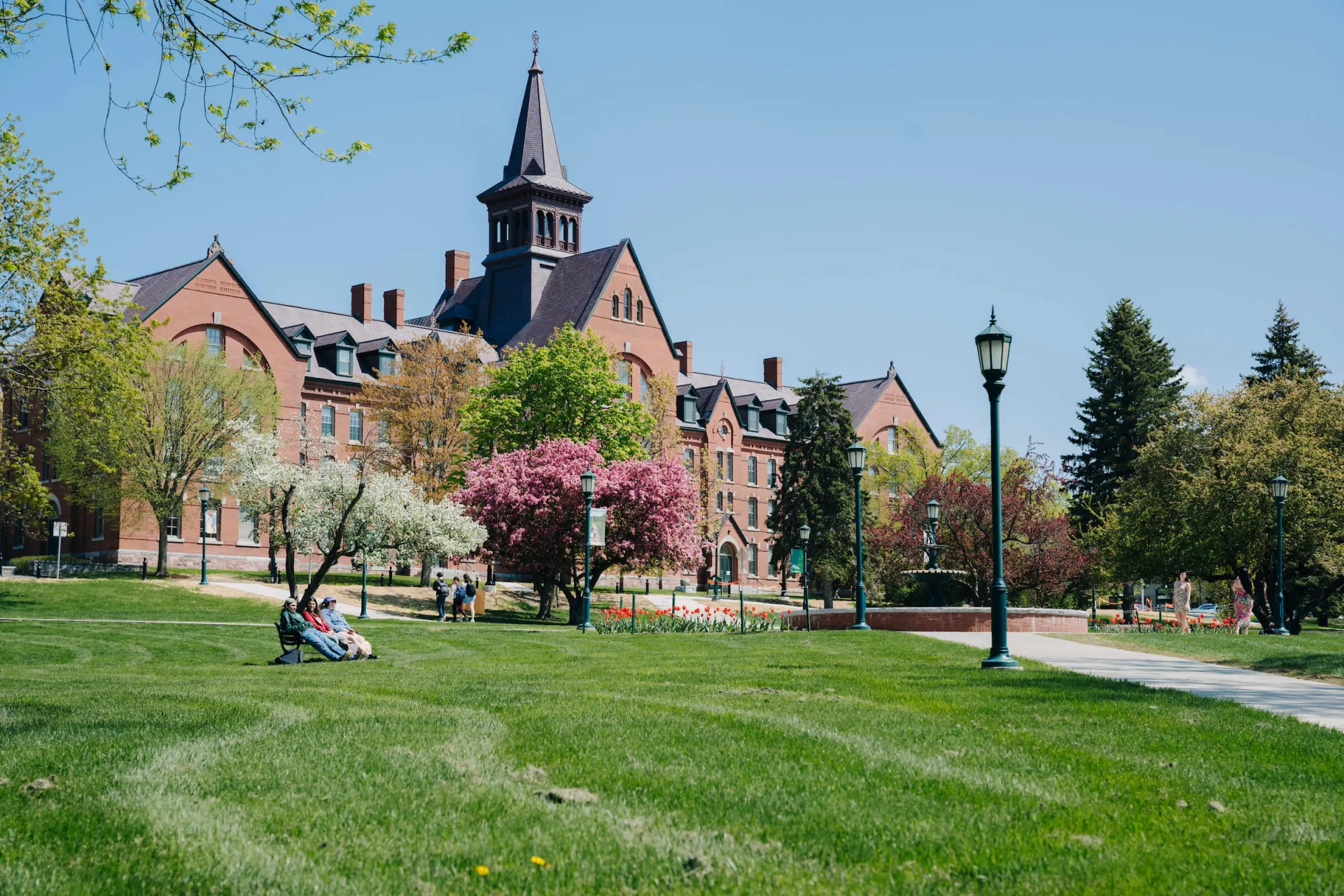 Campus in spring