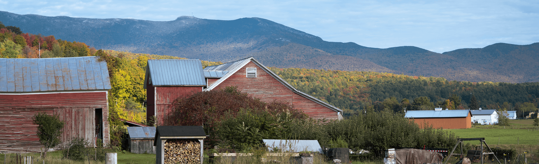 A working farm in Underhill Vermont. Red buildings are in front of a mountain range and fall foliage.