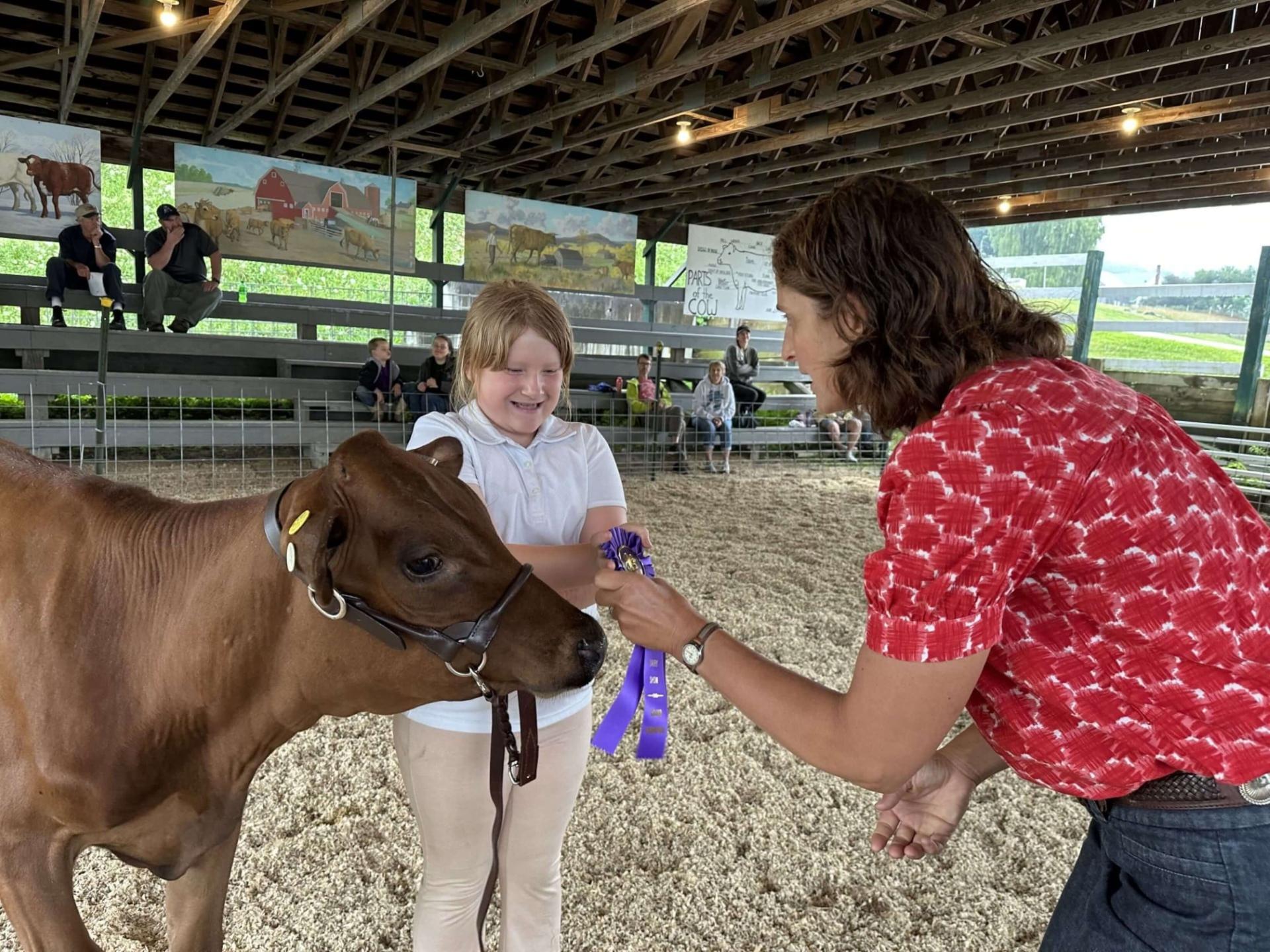 4-H'er, her cow, and a judge