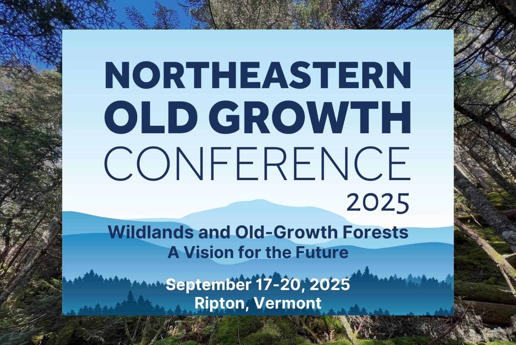 northeastern old growth conference 2025 logo