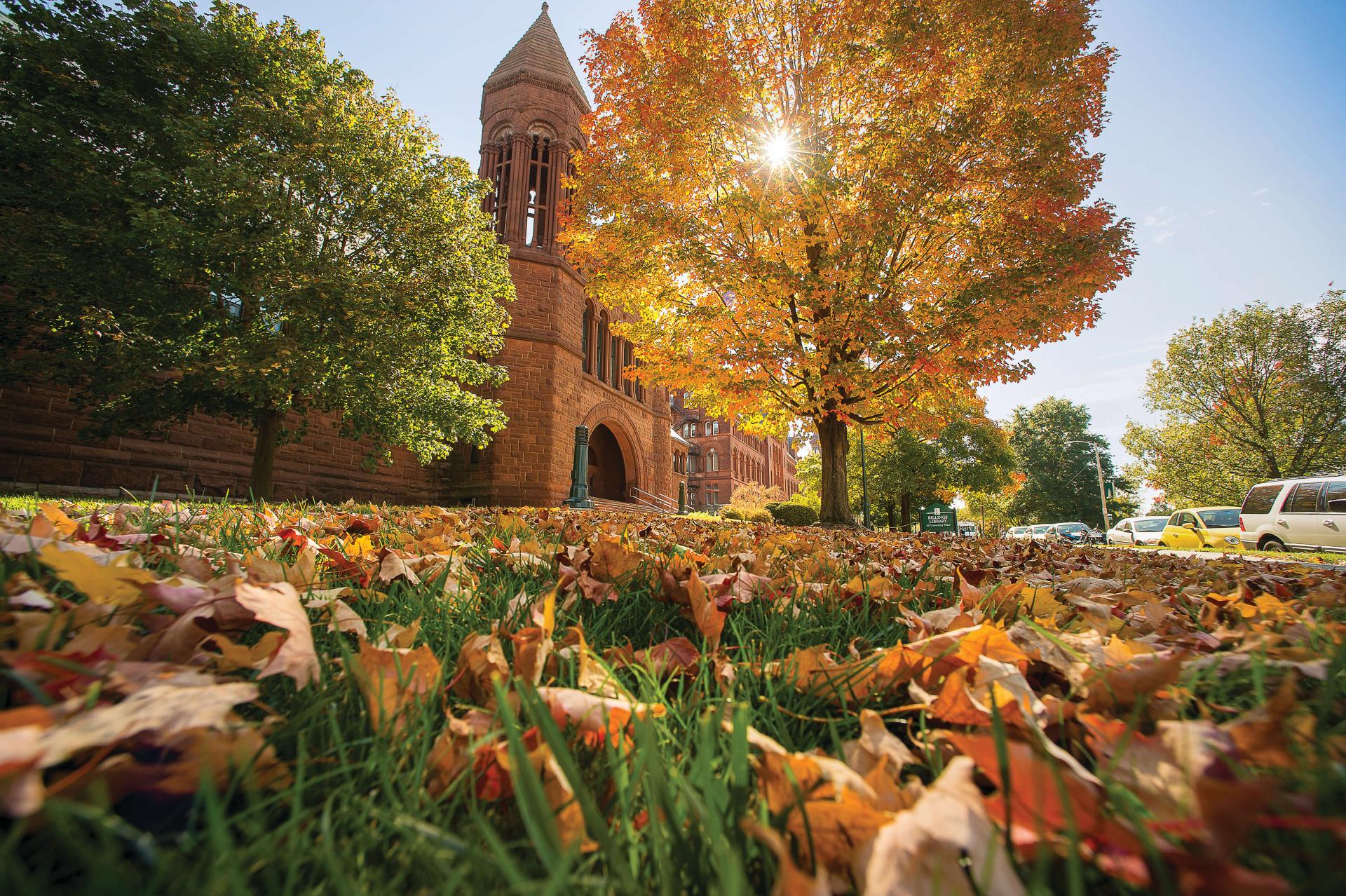 Fall leaves on UVM campus.