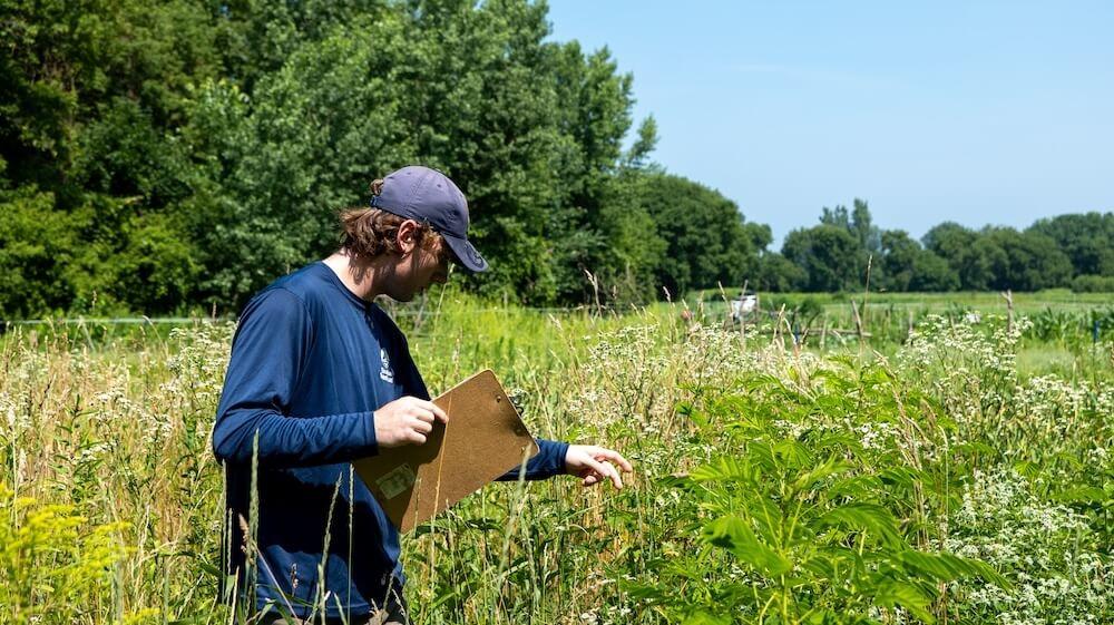 Ben in a field counting flowers