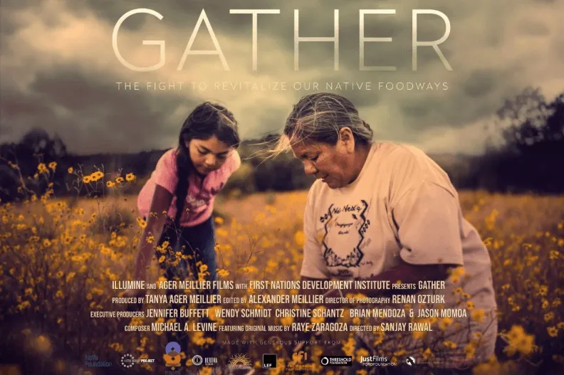 Indigenous girl and older woman gathering herbs in the field