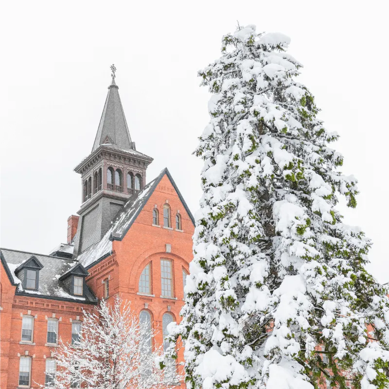 Main Hall in Snow