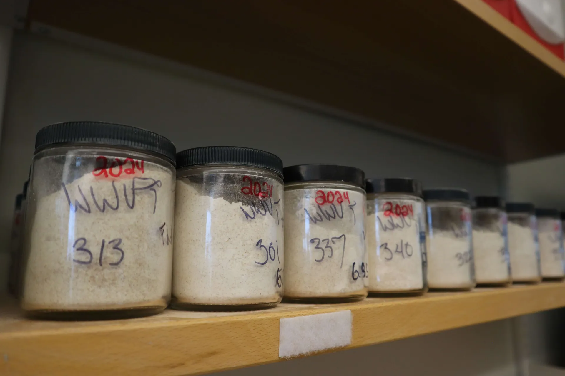 Grain samples