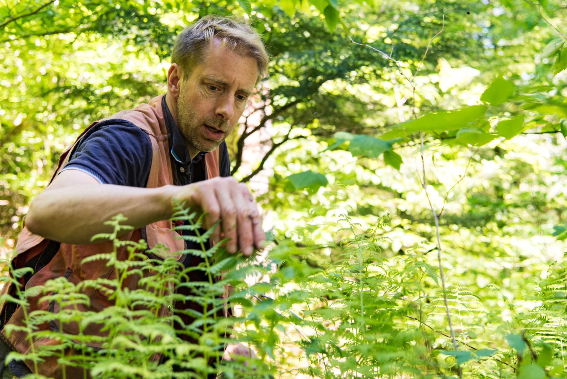 Man looks at plant