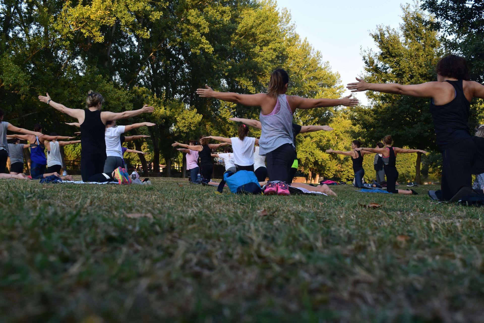 A group of women doing yoga together in a forest glade