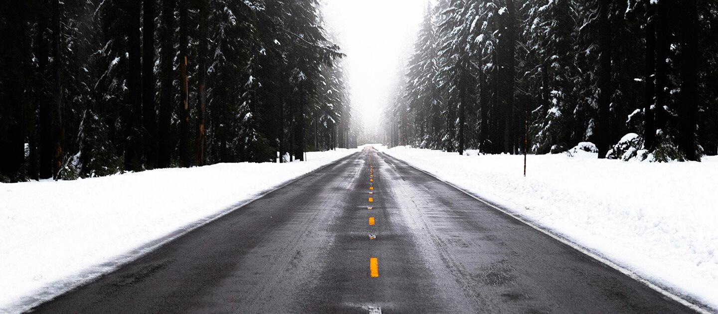 a two lane road going through a snowy forest
