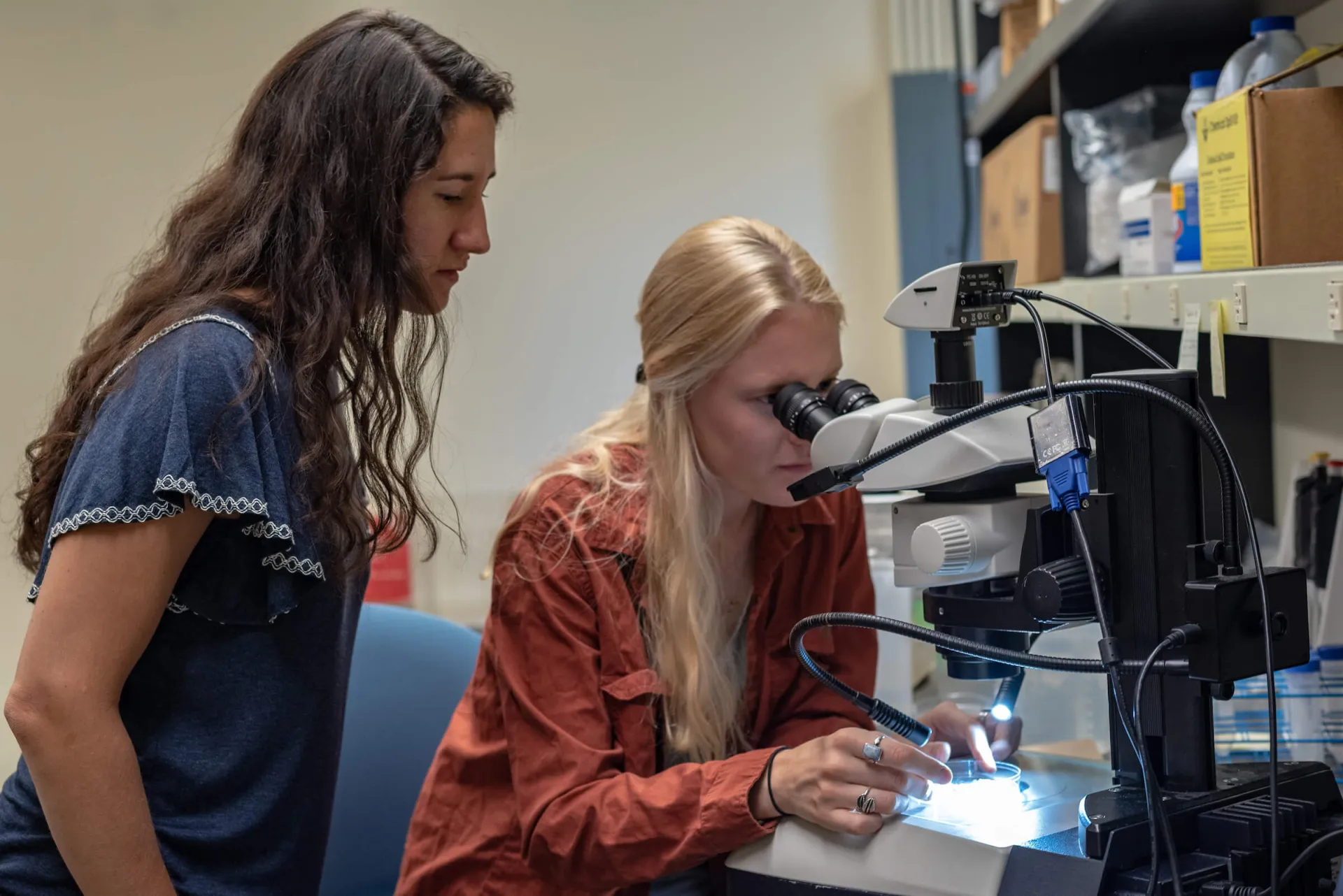 Two people working together at a microscope in a laboratory.