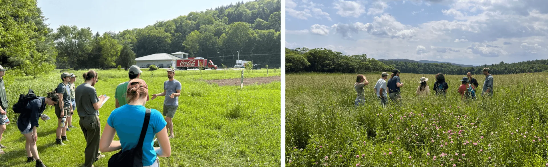 Researchers and participants in the field